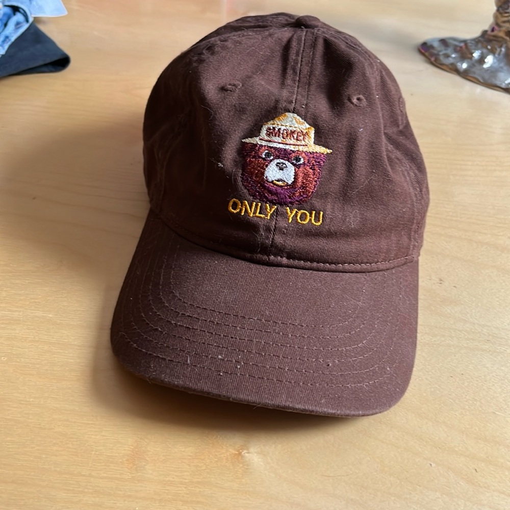 Smokey the bear embroidered hat